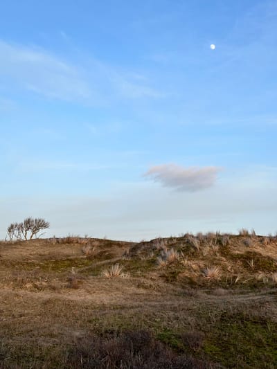 I am safe because I am here